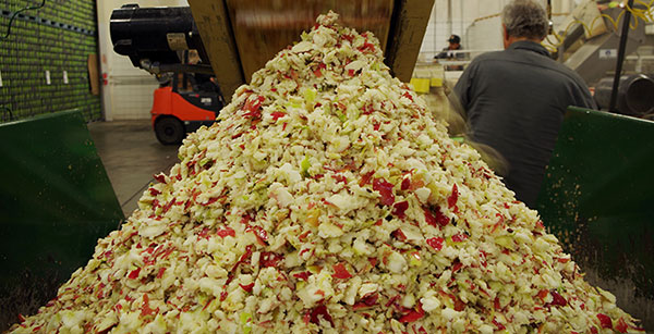 蘋(píng)果渣烘干機(jī)處理前